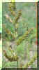 Mvc-629fcrop_small.jpg