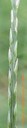 Mvc-842lcrop.jpg