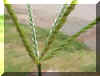 Mvc-692lcrop_small_small.jpg