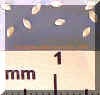 greenfoxtail-136_small.jpg
