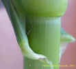Mvc-491fcrop_small.JPG
