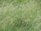 Mvc-588fcrop_small.jpg