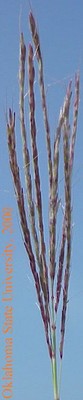Mvc-590fcrop.jpg