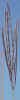 Mvc-590fcrop_small.jpg