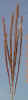 Mvc-591fcrop_small.jpg