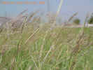Mvc-593fcrop_small.jpg