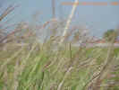 Mvc-594fcrop_small.jpg
