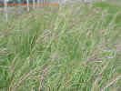 Mvc-595fcrop_small.jpg