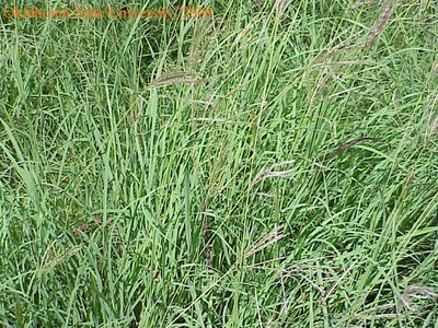 Mvc-596fcrop.jpg