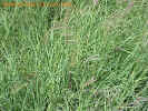 Mvc-596fcrop_small.jpg