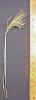 oldworldblustem1cropc_small.jpg