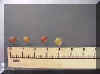 AustrianWinterFieldpea-MVC-109Xcrop_small_small.JPG