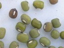 Green Mungbean (2).jpg