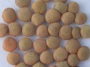 Lentil (1).jpg