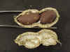 peanut_pod_with_seeds_small.JPG