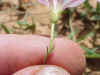 MVC-797L_small.JPG