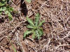 P1040058_small.JPG
