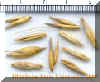 Oatscrop_small_small.JPG